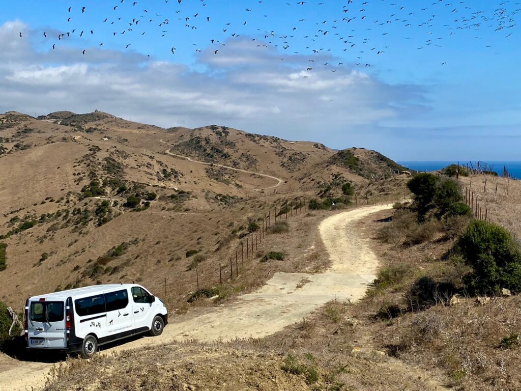 Ancient and Sacred Sties of Andalusia