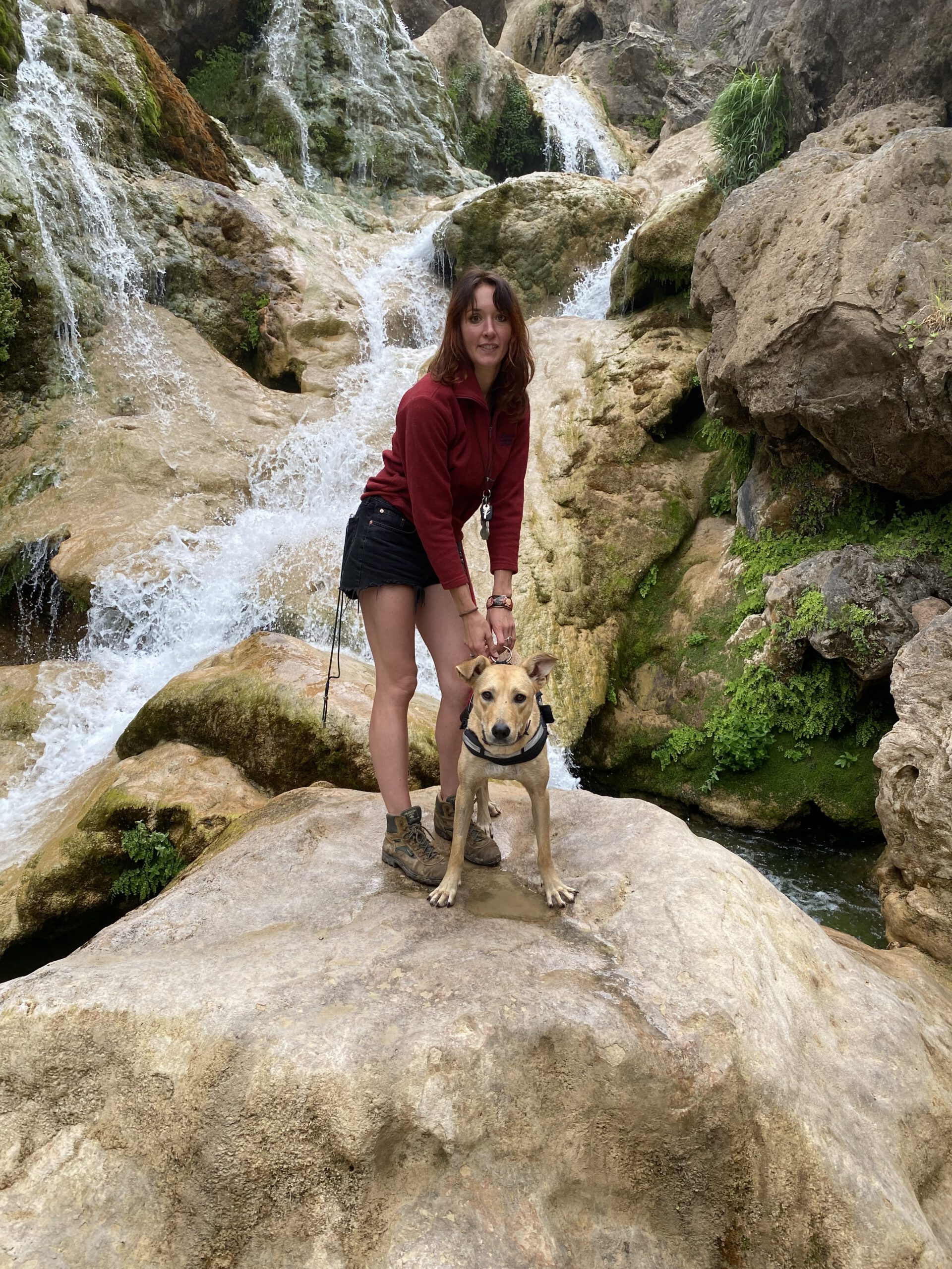 On the road, and slightly off it