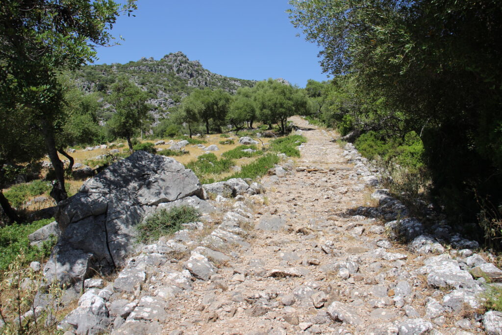 Walking Wild Andalusia