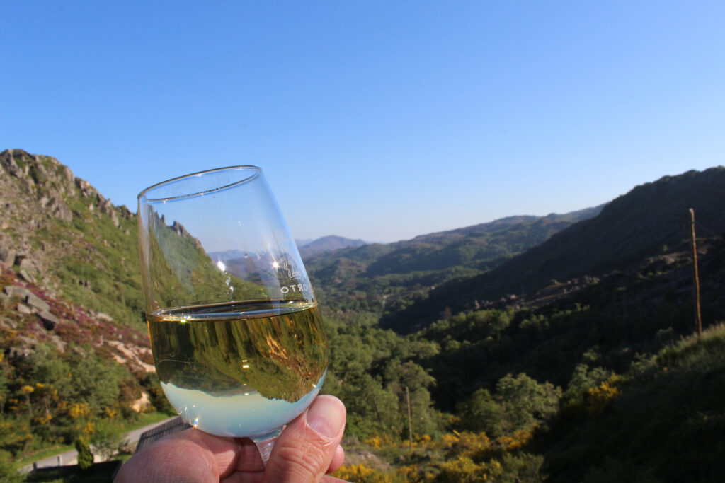 Wine Tasting & Wild Swimming Andalucía