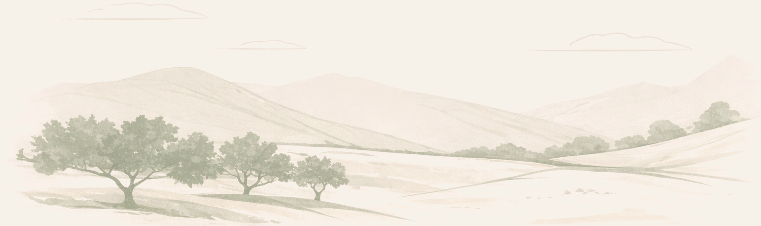 Landscape illustration